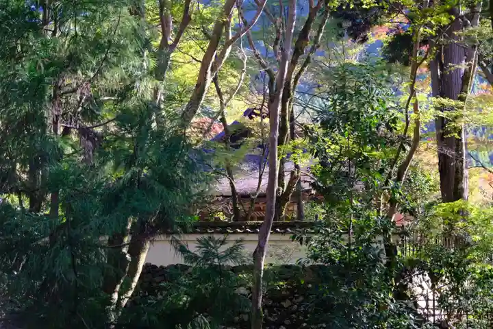 高山寺のその他建物