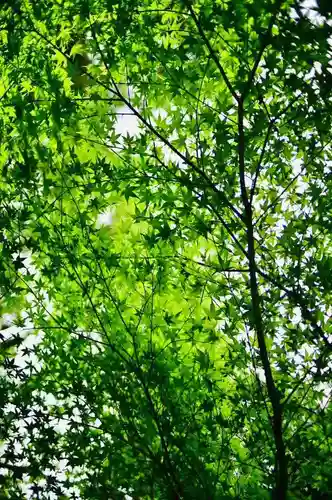 浄土寺(兵庫県)