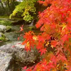 古峯神社の自然