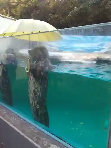 屋島寺(香川県)