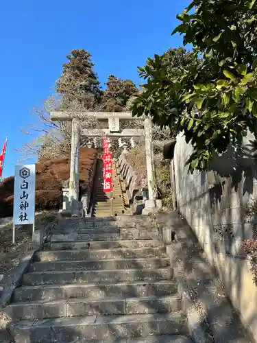 白山神社(東京都)