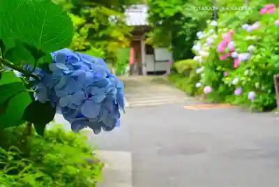 岩殿寺(神奈川県)