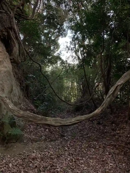 日吉神社の自然