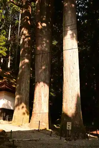 宝積山光前寺(長野県)