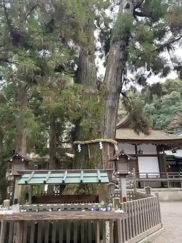 大神神社(奈良県)