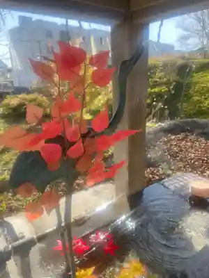 釧路一之宮 厳島神社の手水舎