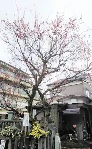 西光寺の建物その他