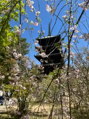 仁和寺の{uncategorized: "未分類", other: "その他", undefined: "問題あり", building: "その他建物", grave: "お墓", sacred_gate: "鳥居", guardian: "狛犬", statue: "像", buddha: "仏像", history: "歴史", nature: "自然", garden: "庭園", animal: "動物", pagoda: "塔", temizu: "手水舎", mountain_gate: "山門・神門", sanctuary: "本殿・本堂", subordinate: "末社・摂社", art: "芸術", scenery: "景色", jizo: "地蔵", ema: "絵馬", goshuin: "御朱印", omikuji: "おみくじ", items: "授与品その他", amulet: "お守り", goshuincho: "御朱印帳", eats: "食事", festival: "お祭り", votive_dance: "神楽", shichigosan: "七五三参", wedding: "結婚式", experience: "体験その他", initially: "初詣", around: "周辺", anti_infection: "感染症対策"}