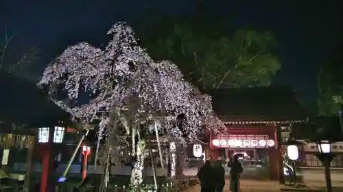 平野神社の庭園