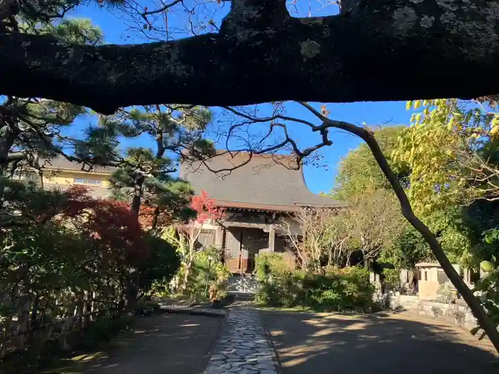 教恩寺(神奈川県)