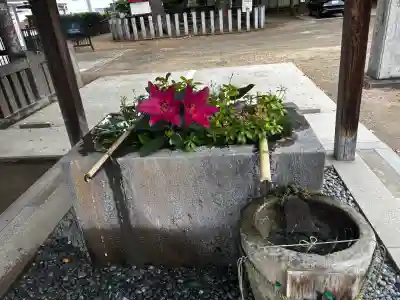久留米宗社　日吉神社の{uncategorized: "未分類", other: "その他", undefined: "問題あり", building: "その他建物", grave: "お墓", sacred_gate: "鳥居", guardian: "狛犬", statue: "像", buddha: "仏像", history: "歴史", nature: "自然", garden: "庭園", animal: "動物", pagoda: "塔", temizu: "手水舎", mountain_gate: "山門・神門", sanctuary: "本殿・本堂", subordinate: "末社・摂社", art: "芸術", scenery: "景色", jizo: "地蔵", ema: "絵馬", goshuin: "御朱印", omikuji: "おみくじ", items: "授与品その他", amulet: "お守り", goshuincho: "御朱印帳", eats: "食事", festival: "お祭り", votive_dance: "神楽", shichigosan: "七五三参", wedding: "結婚式", experience: "体験その他", initially: "初詣", around: "周辺", anti_infection: "感染症対策"}