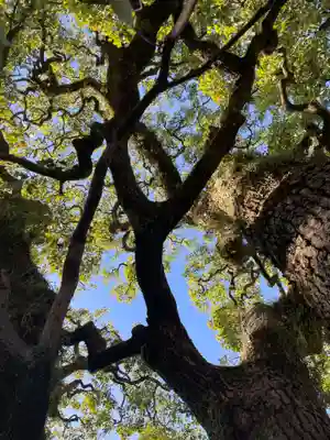 晴明神社(京都府)