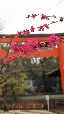 賀茂御祖神社（下鴨神社）(京都府)