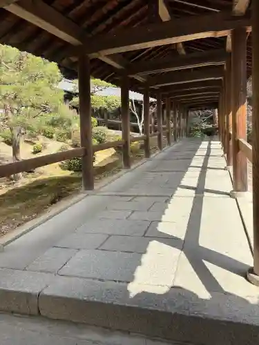 東福禅寺（東福寺）の{uncategorized: "未分類", other: "その他", undefined: "問題あり", building: "その他建物", grave: "お墓", sacred_gate: "鳥居", guardian: "狛犬", statue: "像", buddha: "仏像", history: "歴史", nature: "自然", garden: "庭園", animal: "動物", pagoda: "塔", temizu: "手水舎", mountain_gate: "山門・神門", sanctuary: "本殿・本堂", subordinate: "末社・摂社", art: "芸術", scenery: "景色", jizo: "地蔵", ema: "絵馬", goshuin: "御朱印", omikuji: "おみくじ", items: "授与品その他", amulet: "お守り", goshuincho: "御朱印帳", eats: "食事", festival: "お祭り", votive_dance: "神楽", shichigosan: "七五三参", wedding: "結婚式", experience: "体験その他", initially: "初詣", around: "周辺", anti_infection: "感染症対策"}