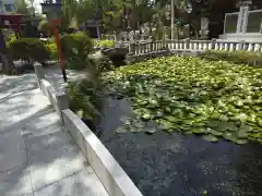 金富神社(福岡県)