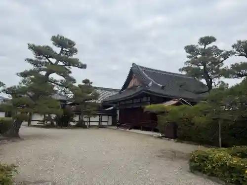 中宮寺の{uncategorized: "未分類", other: "その他", undefined: "問題あり", building: "その他建物", grave: "お墓", sacred_gate: "鳥居", guardian: "狛犬", statue: "像", buddha: "仏像", history: "歴史", nature: "自然", garden: "庭園", animal: "動物", pagoda: "塔", temizu: "手水舎", mountain_gate: "山門・神門", sanctuary: "本殿・本堂", subordinate: "末社・摂社", art: "芸術", scenery: "景色", jizo: "地蔵", ema: "絵馬", goshuin: "御朱印", omikuji: "おみくじ", items: "授与品その他", amulet: "お守り", goshuincho: "御朱印帳", eats: "食事", festival: "お祭り", votive_dance: "神楽", shichigosan: "七五三参", wedding: "結婚式", experience: "体験その他", initially: "初詣", around: "周辺", anti_infection: "感染症対策"}