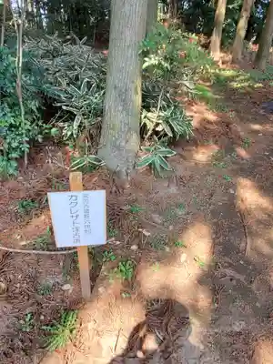 長沼八幡宮(栃木県)