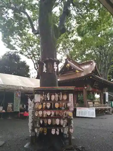 子安神社の自然