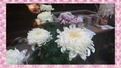 戸越八幡神社(東京都)