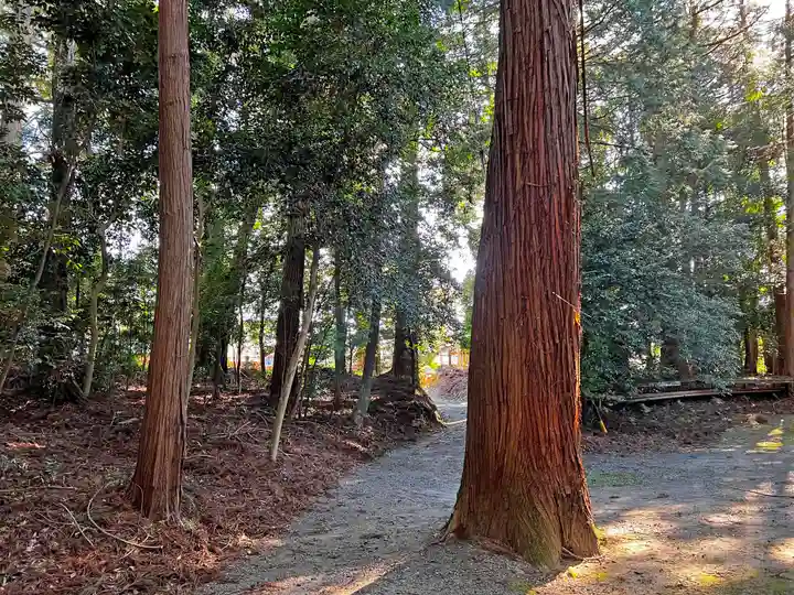 比々岐神社の自然