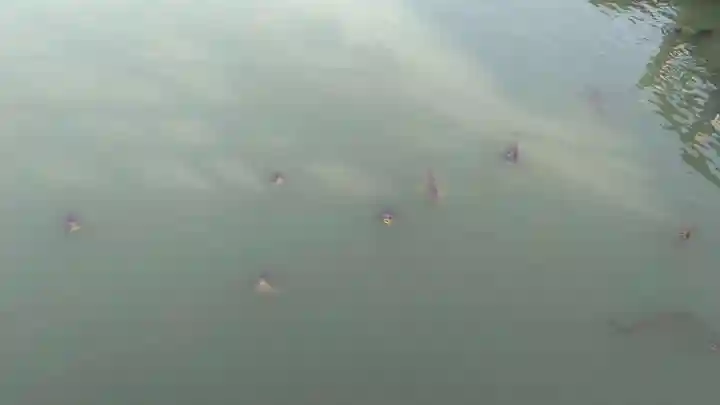 長岡天満宮(京都府)