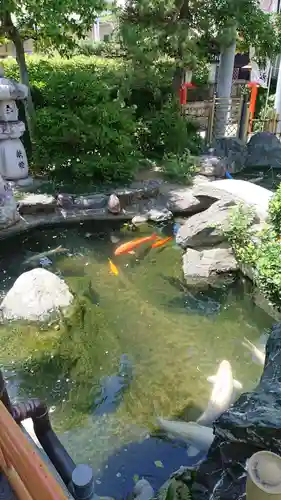 尾張猿田彦神社の庭園