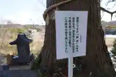 阿久津「田村神社」（郡山市阿久津町）旧社名：伊豆箱根三嶋三社の歴史