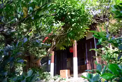 横浜御嶽神社の本殿・本堂