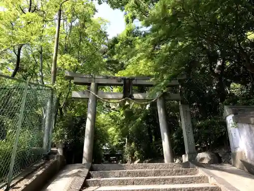 伊居太神社の鳥居