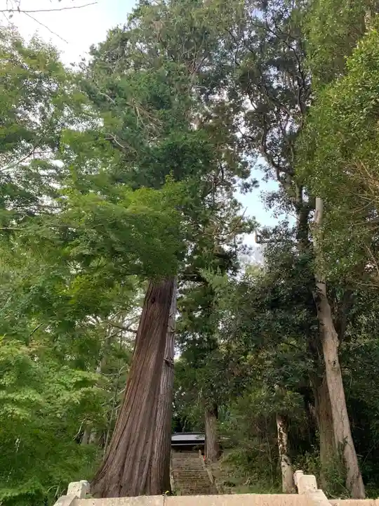 熱田神社(千葉県)