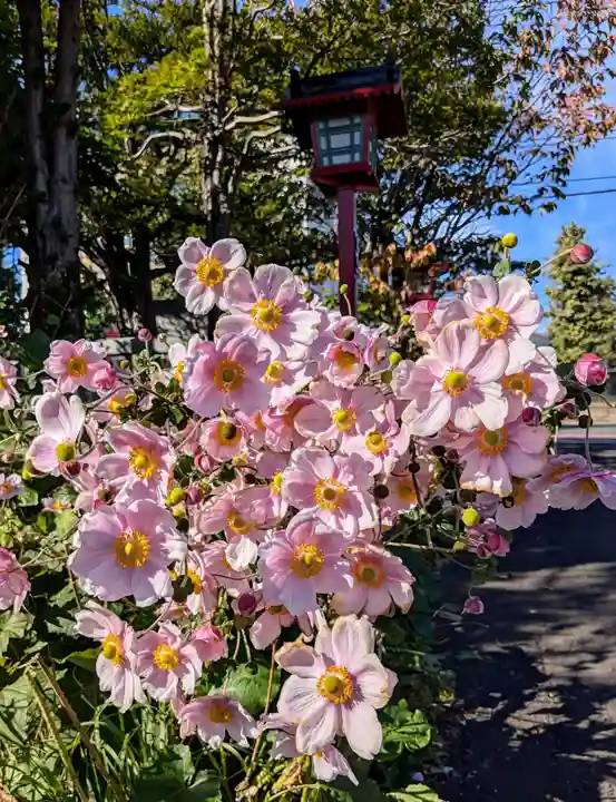 発寒神社(北海道)