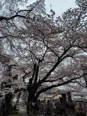 妙徳寺(福島県)