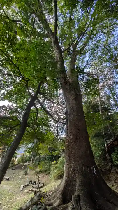 八幡宮社(長峰八幡宮)(京都府)