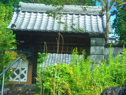 観音寺の山門