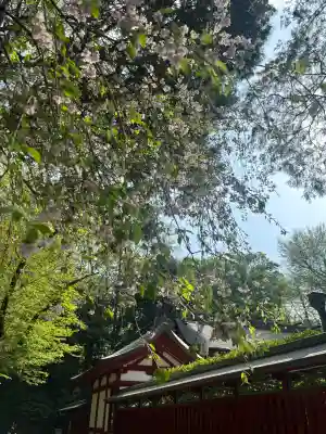 大國魂神社の{uncategorized: "未分類", other: "その他", undefined: "問題あり", building: "その他建物", grave: "お墓", sacred_gate: "鳥居", guardian: "狛犬", statue: "像", buddha: "仏像", history: "歴史", nature: "自然", garden: "庭園", animal: "動物", pagoda: "塔", temizu: "手水舎", mountain_gate: "山門・神門", sanctuary: "本殿・本堂", subordinate: "末社・摂社", art: "芸術", scenery: "景色", jizo: "地蔵", ema: "絵馬", goshuin: "御朱印", omikuji: "おみくじ", items: "授与品その他", amulet: "お守り", goshuincho: "御朱印帳", eats: "食事", festival: "お祭り", votive_dance: "神楽", shichigosan: "七五三参", wedding: "結婚式", experience: "体験その他", initially: "初詣", around: "周辺", anti_infection: "感染症対策"}