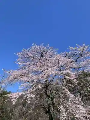 国宝 大法寺(長野県)