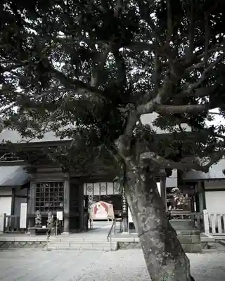 大洗磯前神社(茨城県)