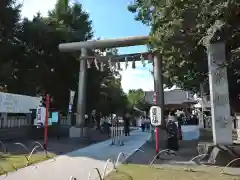 浅草神社の鳥居