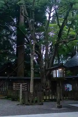 天岩戸神社(宮崎県)