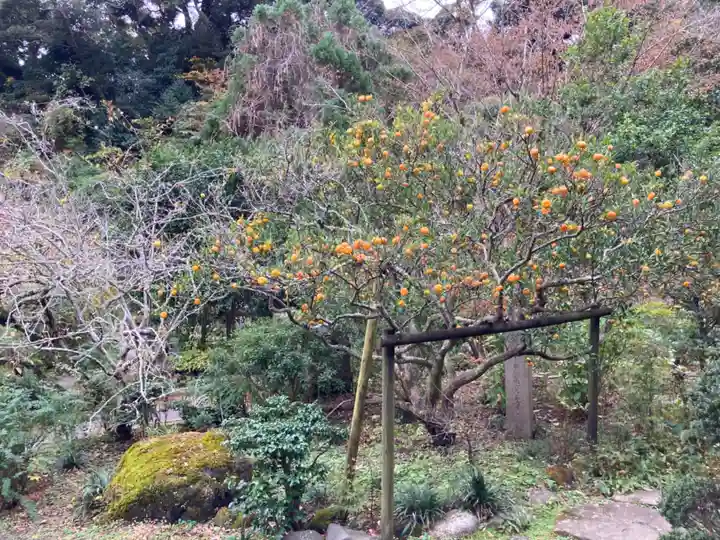 光則寺(神奈川県)