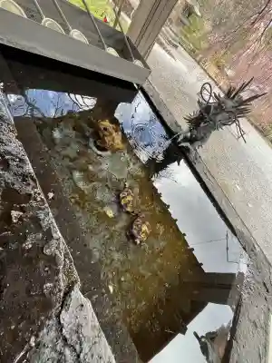 南湖神社(福島県)