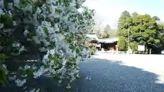 栃木縣護國神社の建物その他