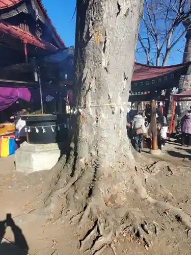 片貝神社(群馬県)