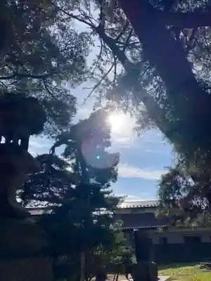 宇倍神社の自然