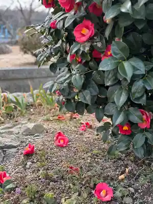 下太田廃寺塔跡(兵庫県)