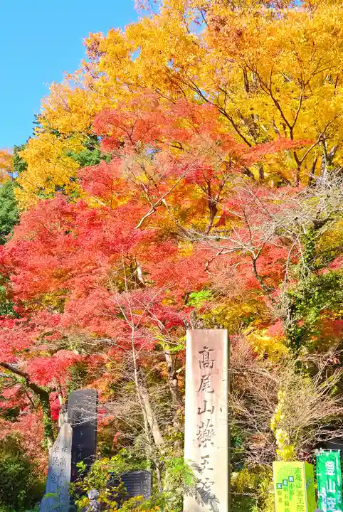 高尾山薬王院(東京都)