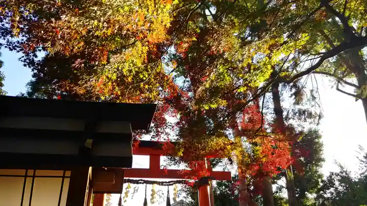 大田神社(賀茂別雷神社境外摂社)の自然