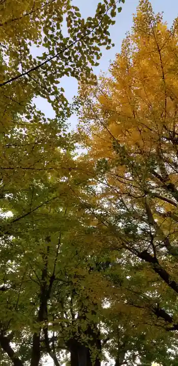 高木神社の自然