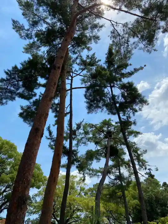 今宮神社の自然