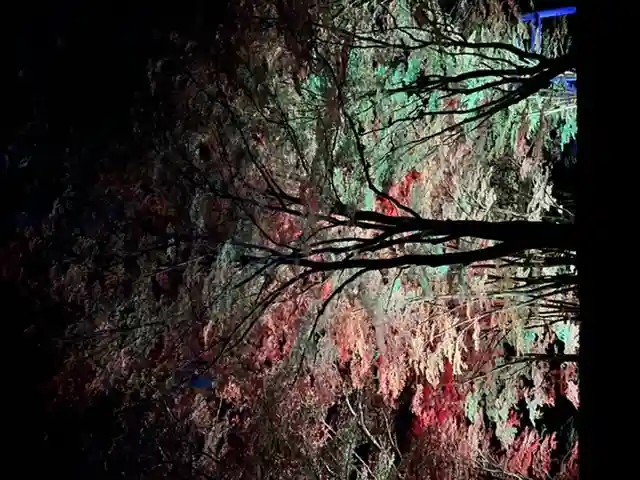 土津神社|こどもと出世の神さま(福島県)